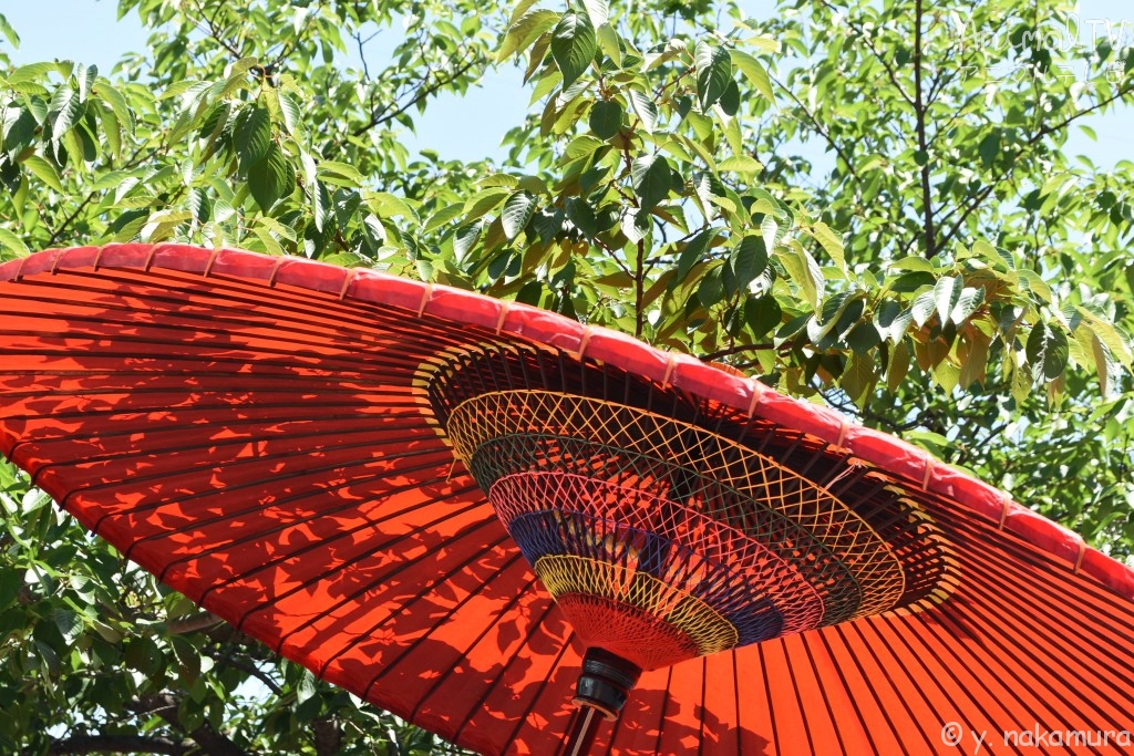 Japanese umbrella for Sun blind