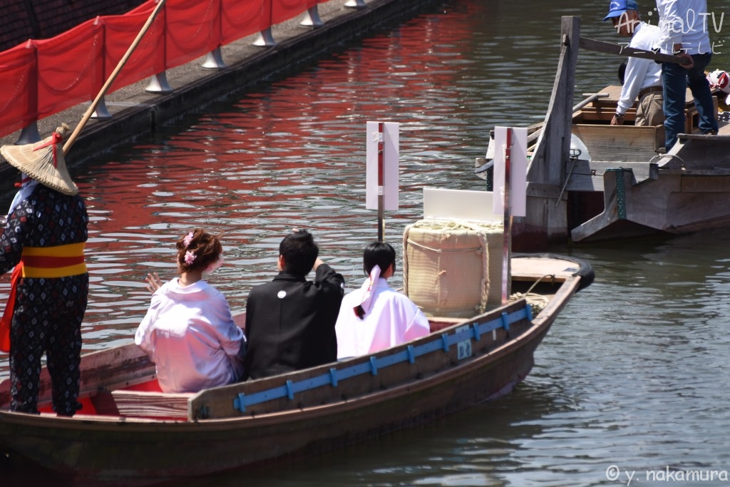 Japanese Wedding