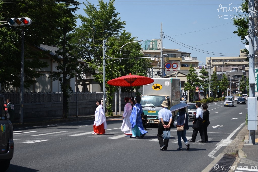 Japanese Wedding_2