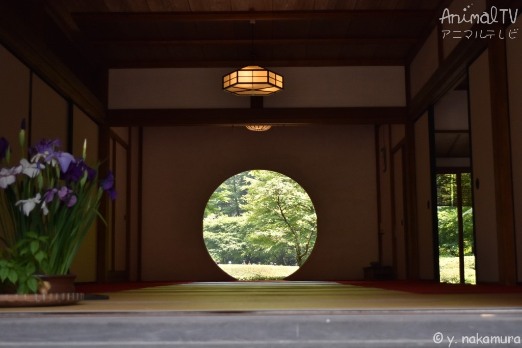 kamakura, Japan