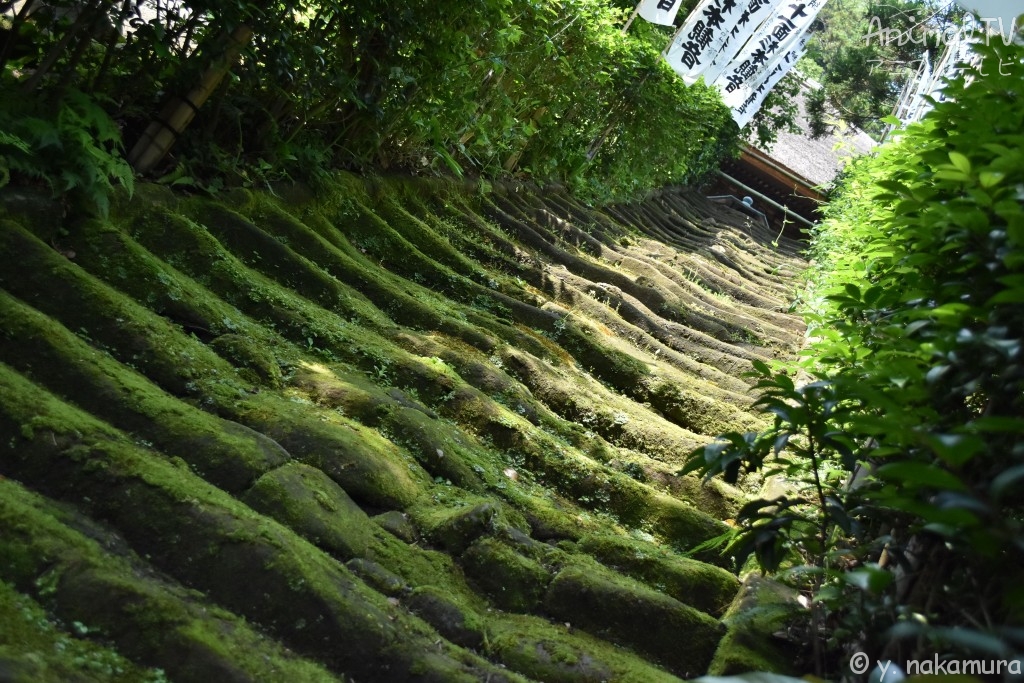 Buddhist old temple in Kamakura, Japan