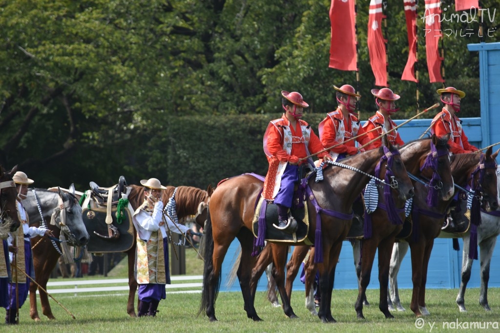 Ancient Japanese polo