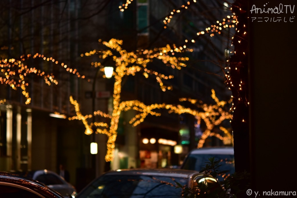 Japanese people are coming home for New Year holidays