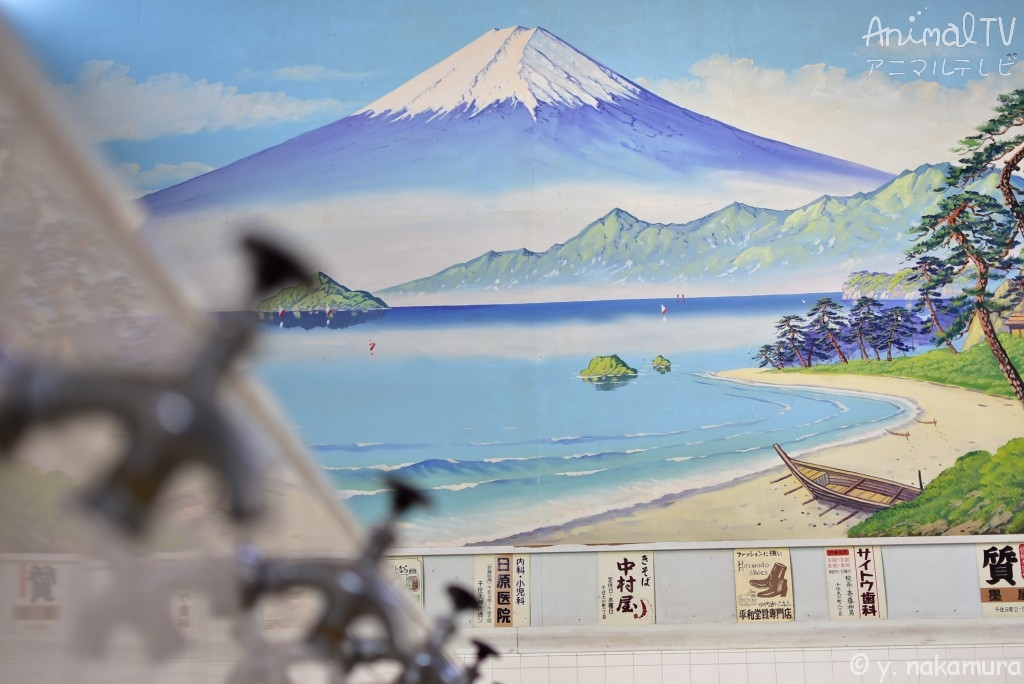 Mt, Fuji in a public bath