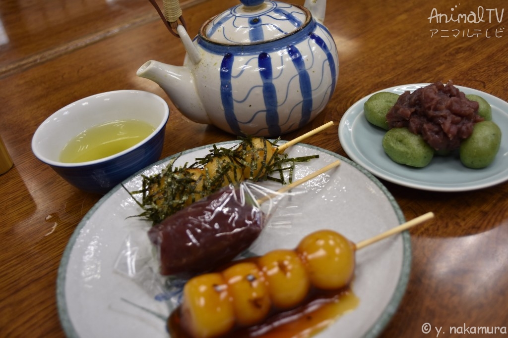 Skewered rice dumplings in a sweet soy glaze