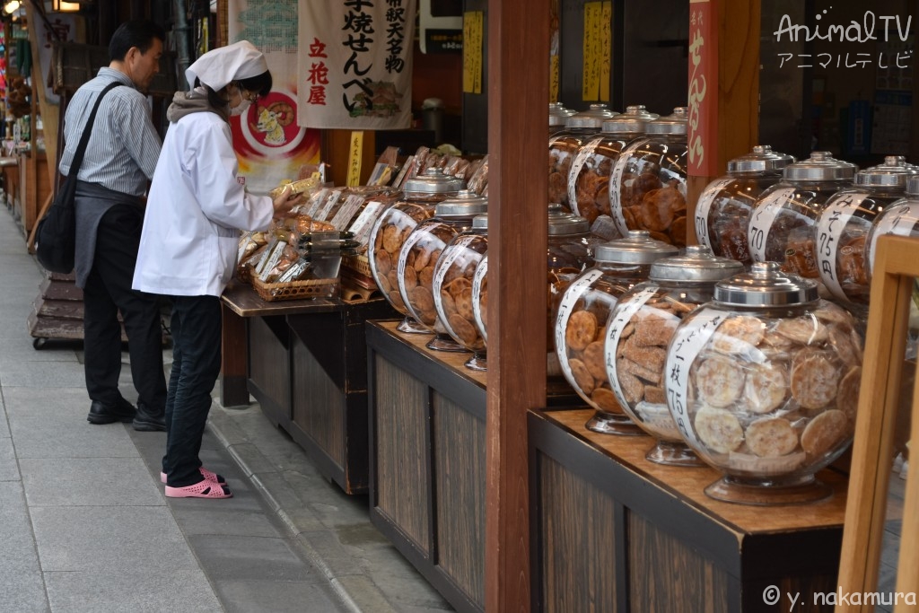 Shibamata of Small town in Tokyo, Japan