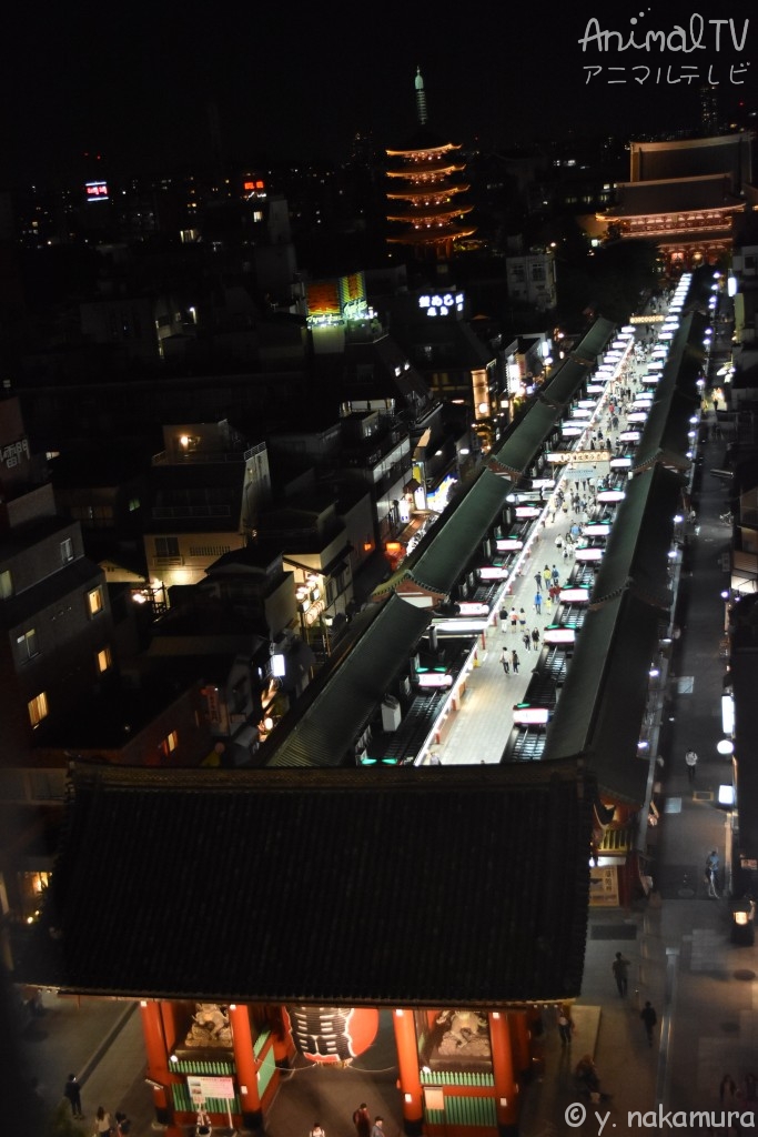 Main street of Asakusa, Tokyo