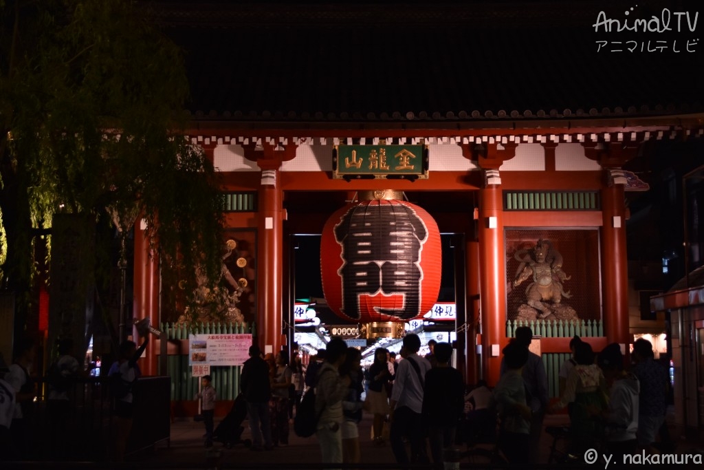 Asakusa, Tokyo Japan