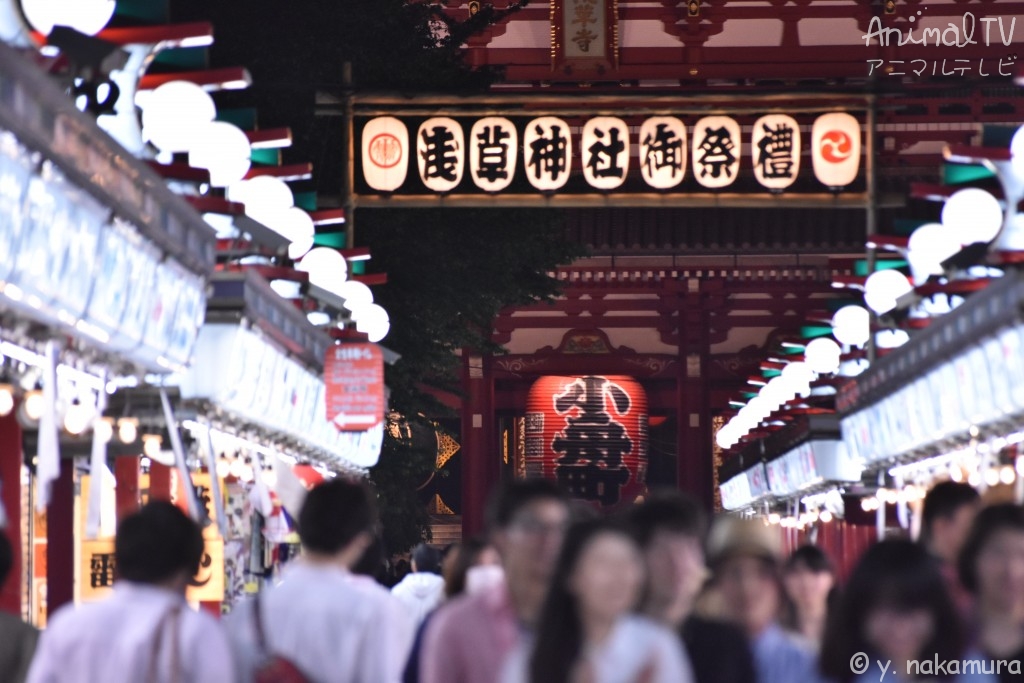 Main street from Kaminarimon Gate in Asakusa, Japan