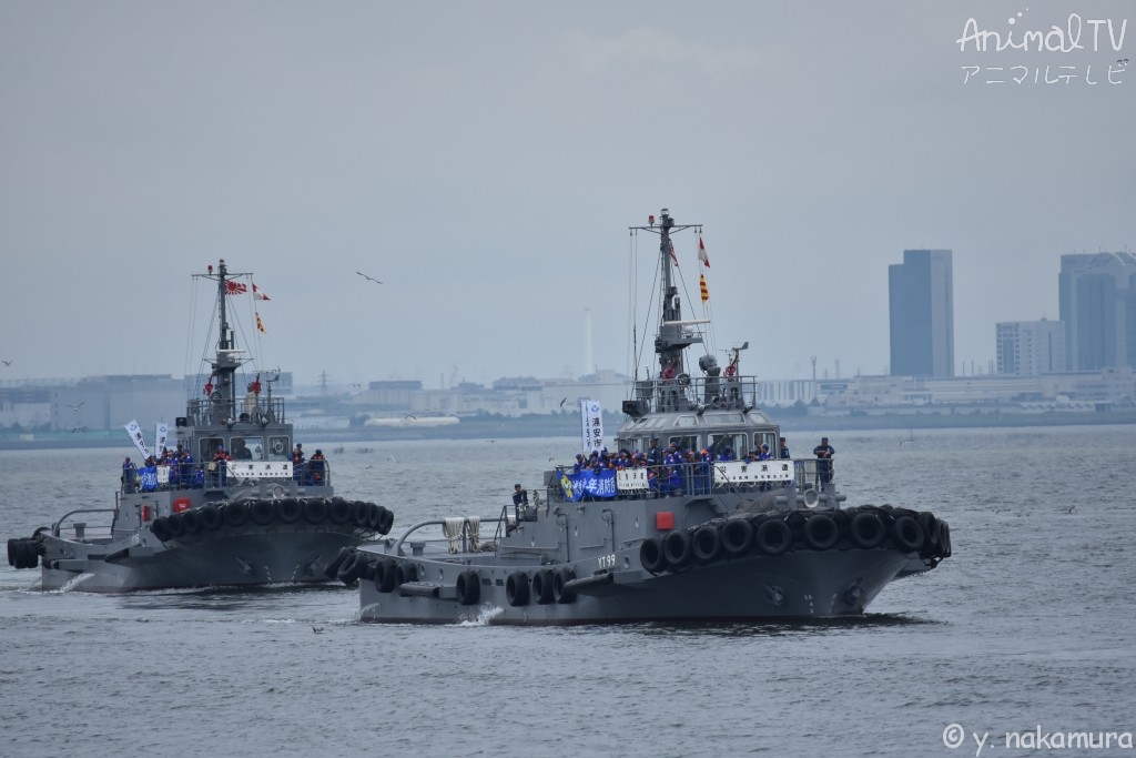 sea, Tokyo bay in Japan